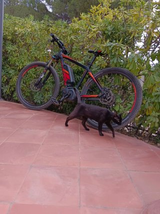 Bicicleta Eléctrica Montaña SCOTT E-ASPECT
