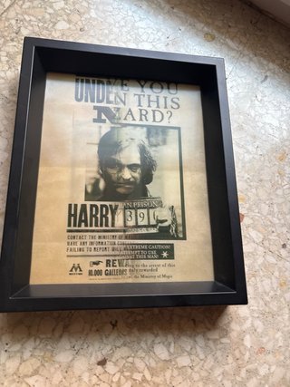 Cuadro Se busca Harry Potter Sirius Black