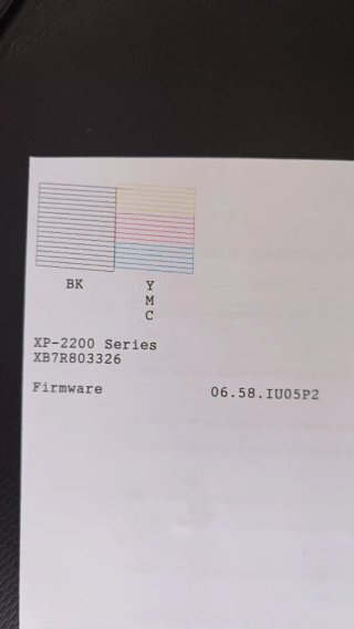 Stampante multifunzione Epson XP-2200 + cartucce