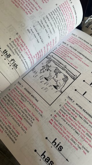 Teach Your Child to Read in 100 Easy Lessons