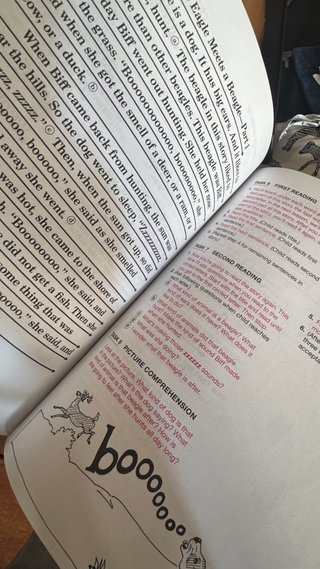 Teach Your Child to Read in 100 Easy Lessons