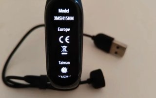 Pulsera Xiaomi Mi Band 6 Plata y Negro