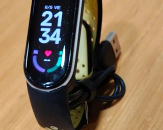 Pulsera Xiaomi Mi Band 6 Plata y Negro