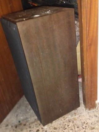 2 altavoces 300W