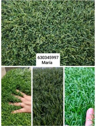 Erba artificiale 630345997 María