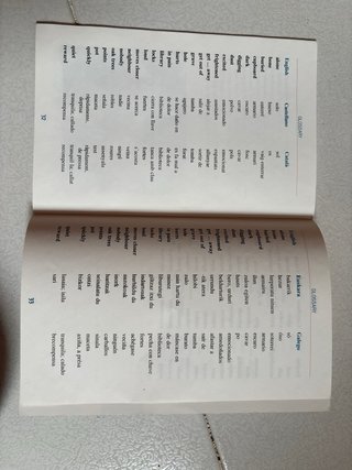 Libro inglés “The Roman Coins”