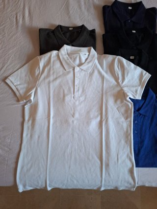 Lote de Polos.Varias tallas y colores.