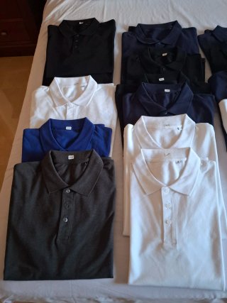 Lote de Polos.Varias tallas y colores.