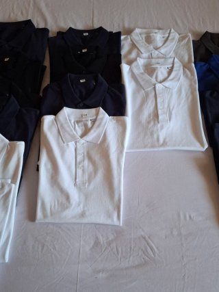 Lote de Polos.Varias tallas y colores.