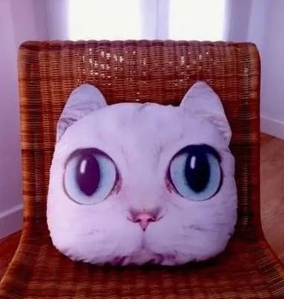 Cojín gato blanco con orejas