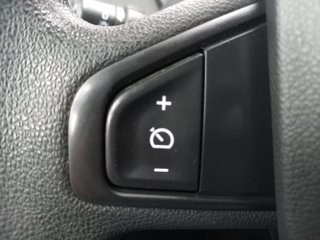RENAULT KANGOO FURGON MAXI 2p Blue dCi 70 kW (95CV)