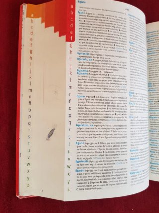 Diccionario Avanzado Primaria. Lengua española