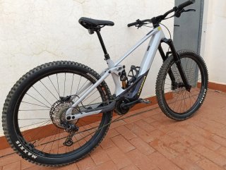 Orbea Wild M20