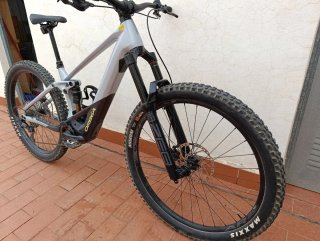 Orbea Wild M20
