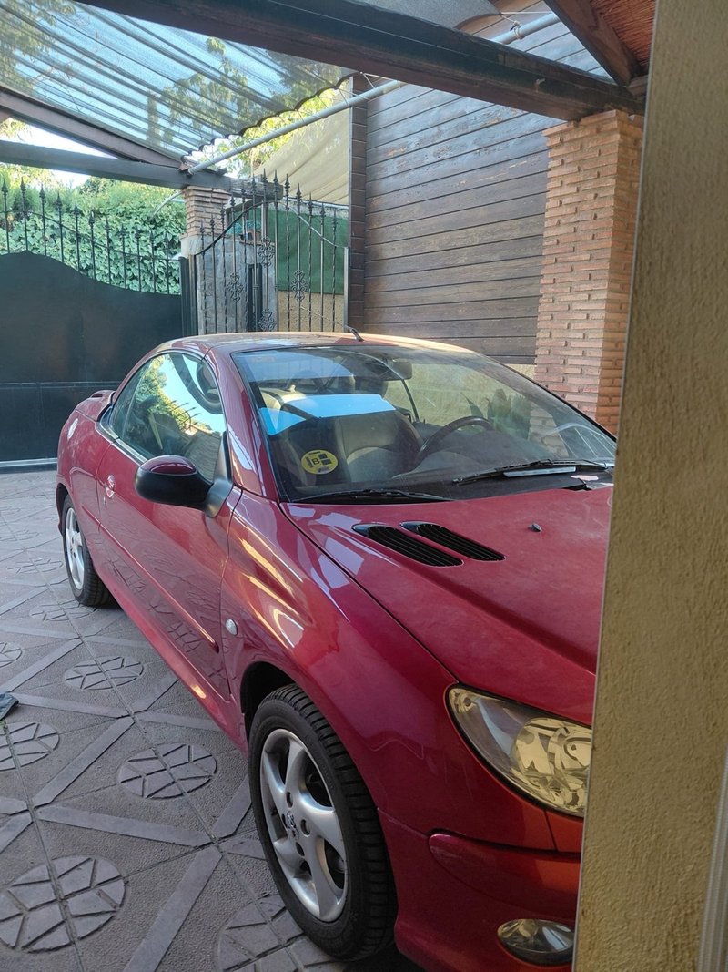 Peugeot 206 2003 - foto 1