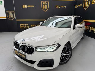 BMW Serie 5 520dA Touring