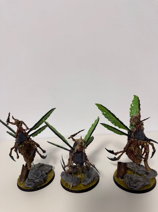 Zanganos de Plaga AOS/40K