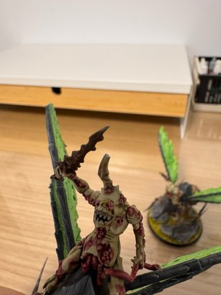 Zanganos de Plaga AOS/40K