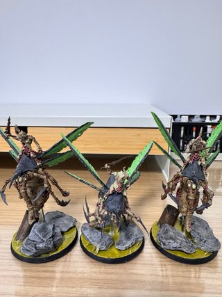 Zanganos de Plaga AOS/40K