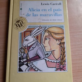 Lote 5 libros Enyd Blyton