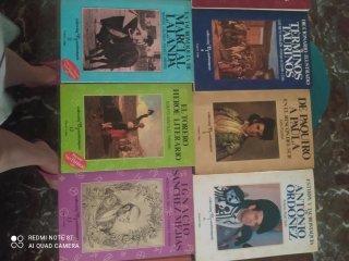La tauromaquia colección