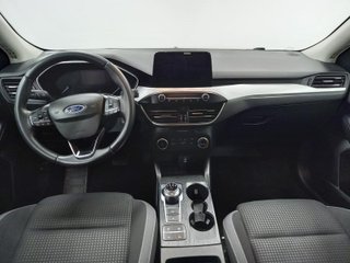 FORD FOCUS 1.5 ECOBLUE 120 AUTO TREND BUSINESS