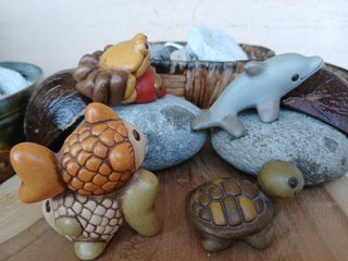 Thun Animali del Mare - Set 4 Pezzi