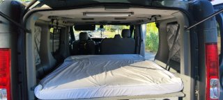 Renault Trafic 2010