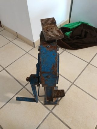 Gatto con cerniera blu