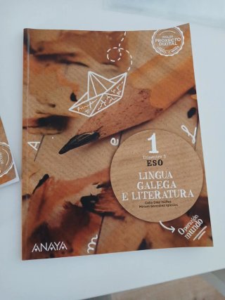 Lingua Galega e Literatura 1 ESO