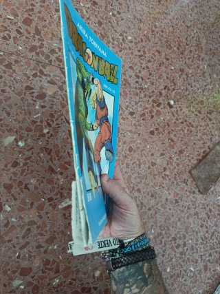 Cómic Dragón Ball