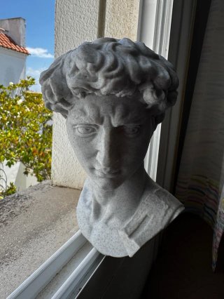 Busto 3D David Miguel Ángel Mármol