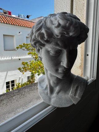 Busto 3D David Miguel Ángel Mármol