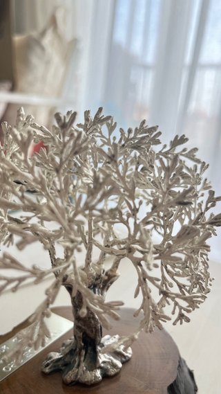 Olivos de Plata Madera Conmemorativo