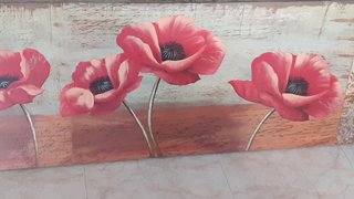 Cuadro Decorativo Flores Rojas