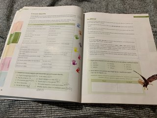 Puntal 1. Llengua catalana i Literatura 1 ESO