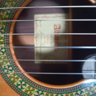 Guitarra Alhambra 11P con funda