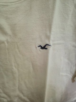 Camiseta Hollister Degradado Blanco/Negro