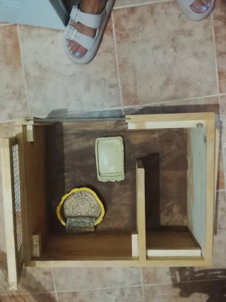 Terrario Tortuga de Tierra Madera y Cristal
