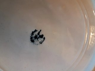 Plato antiguo cerámica Llevantina