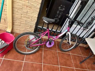Bicicleta Montaña Niña Rosa 10 pulgadas
