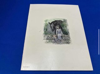 ICO & Shadow of the Colossus Limited Box PS3 JAP
