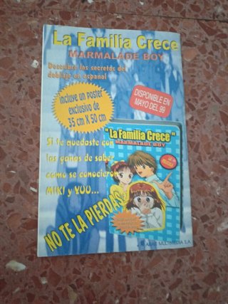 Cómic Dragón Ball
