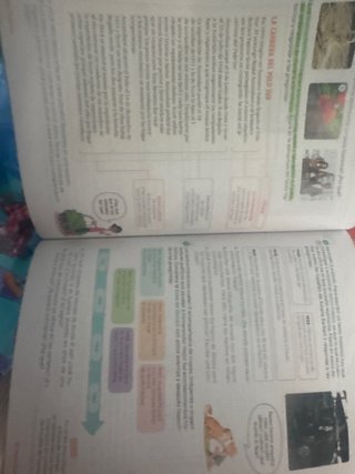 Lengua Castellana y Literatura . 6 Primaria. Tr...