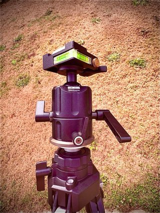 Trípode Manfrotto Profesional 055C + Rótula 268
