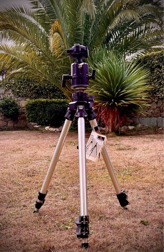 Trípode Manfrotto Profesional 055C + Rótula 268