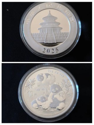 Moneda Plata 999 10 Yuan 2025