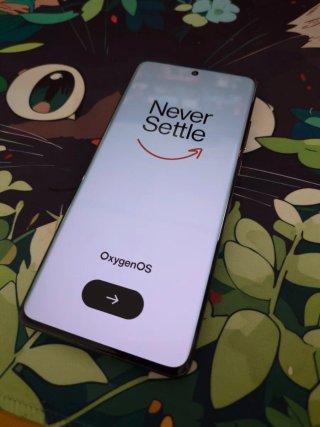 OnePlus 12 512GB Negro