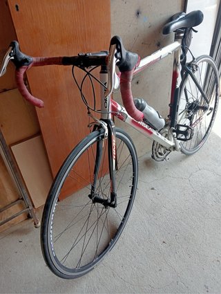 Bicicleta Orbea Enol