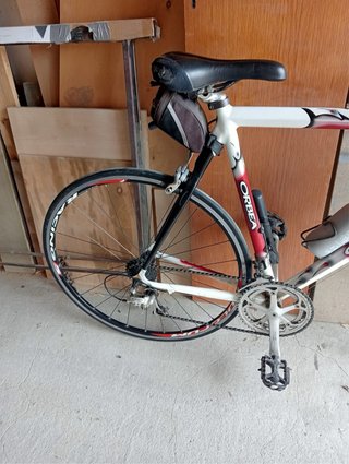 Bicicleta Orbea Enol